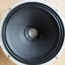 Kruhový reproduktor s černou membránou a světle šedým vnějším rámem. Na rámu jsou vidět čtyři montážní otvory. Povrch membrány vykazuje drobné nečist…