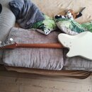 Elektrická basová kytara s bílým trupem a hnědým dřevěným hmatníkem a hlavou. Na zadní straně trupu jsou vidět čtyři šrouby dozadního krytu. Na hlavě…