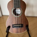 Hnědý dřevěný ukulele s čtyři strunami, umístěné na černém stojanu. Uvnitř ozvučnice je viditelný nápis Cordoba. Kolem otvoru ozvučnice je dekorativn…