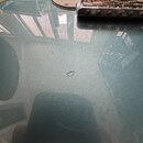 Detailní pohled na modrý lakovaný povrch elektrokitary. V horní části je vidět část stříbrného pickguardu, struny a kovový most. Uprostřed těla nástr…