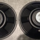 Dva černé kruhové reproduktory s kovovými rámy. Na středovém magnetu je u obou stříbrná nálepka s nápisy „SK Electronics Acoustic Lab“, „86-450-16“,…