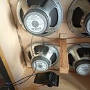 Fotografie zachycuje vnitřek kytarového boxu se čtyřmi reproduktory. Na labellingu reproduktorů je vidět značka CELESTION a model G12T-75, dále nápis…