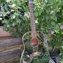 Černá akustická kytara s lesklým povrchem a hnědým dřevěným hmatníkem. Na hlavě nástroje je bílý nápis Gibson. Kytara je umístěna na stojanu před zel…