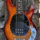 Elektrická basová kytara s hnědým slunečním odstínem (sunburst) a černým kruhovým pickguardem. Na horní části těla je vidět nápis Rickenbacker a chro…