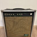 Kytarový kombo zesilovač v hliníkovém flightcase s černou rukojetí a kovovými rohy. Horní ovládací panel je zelený s bílými nápisy INPUTS, VOLUME, ov…