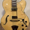 Polodupatá elektrická kytara s přírodním povrchem z plamenového javoru a dvěma f-otvory. Nástroj má dva humbuckery, zlatý hardware a hnědý plechtr oc…