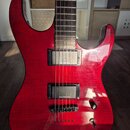 Červená elektrická kytara s výraznou strukturou dřeva na povrchu. Na hrazdiku jsou dva humbuckery, z nichž na spodním je čitelný nápis „Humbucker 800…