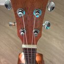 Dřevěný hриф ukulele s nápisem CASCHA na hlavě. Nástroj má čtyři chromované ladičky a bílou matici. Povrch dřeva vykazuje přirozenou strukturu bez vi…