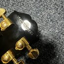 Detail zadní strany černé hlavy kytary s kovovými ladicími mechanismy v zlatém provedení. Na ladičkách je vyražen nápis GROVER. Na povrchu hlavy je v…