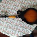 Zadní strana mandolíny s tmavě hnědým a oranžovým přechodem barvy (sunburst). Nástroj má charakteristický klenutý tvar těla a černou hlavu s bílými l…