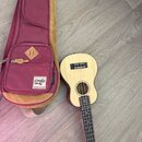 Na fotografii je světle hnědý ukulele s tmavým hřidlem a červeně-béžový pouzdro. Na pouzdře je bílá nálepka s nápisem Power Led a DESIGNER COLLECTION…