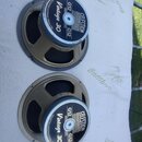 Dvě reproduktory značky Celestion v béžovém provedení. Na středových krytech je uveden nápis LOUDSPEAKERS, model G12 Vintage 30 a text CELESTION INTE…
