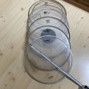 Fotografie zobrazuje pět průhledných bubnových blan v různých velikostях, které leží na dřevěné podlaze. Na blanách jsou vidět loga a nápisy: „REMO“,…