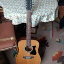 Akustická kytara s přírodním dřevem na lícové dece a tmavým povrchem boků a zad. Na hlavě je zlatý nápis Ibanez a pod ním zlatý symbol stylizovaného…