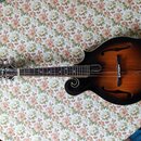 Mandolina s tmavě hnědým gradientem (sunburst) a černýmilemy. Na hlavě je bílý nápis „Riser“ a ornamentální vložka. Nástroj má kovový mostek a bílé l…