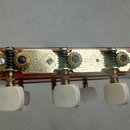 Detail hlavy kytary s ladicími mechanismy v zlatém provedení a bílými plastovými knoflíky. Kovové části mechanismů jsou zdobeny rytým ornamentem. Pov…