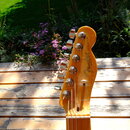 Fotografie zachycuje hlavu elektrické kytary v žlutohnavé barvě s lakovaným povrchem. Na hlavě je vidět nápis Fender TELECASTER STRATOCASTER MEXICO.…
