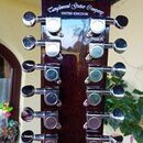 Fotografie zachicuje hlavu kytary z tmavého, lakovaného dřeva s dvanácti chromovanými ladičkami. V horní části je bílý nápis Tanglewood Guitar Compan…