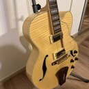 Polodupatá elektrická kytara s přírodním dřevěným povrchem a viditnou strukturou zrna. Nástroj má zlatý hardware, dvě humbuckery a čtyři ovládací kno…