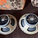 Dvě reproduktorové jednotky v béžovém plastovém rámu. Na středových krytech je nápis CELESTION LOUDSPEAKERS, G12 Vintage 30 a CELESTION INTERNATIONAL…
