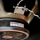 Detail zadní části reproduktoru s kovovým rámem v bronzové barvě. Na černém magnetu je bílá nálepka s nápisy CELESTION, IPSWICH ENGLAND, T4335, 8Ω, G…