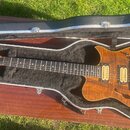 Polodublová elektrická kytara s přírodním dřevěným povrchem v černém tvrdém kufru. Na hlavě je viditelný nápis CARVIN. Nástroj má dva humbuckery, tři…