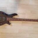 Tmavě fialová elektrická basová kytara s pětistrunným hřidnicí. Na hlavě nástroje je viditelné logo "Schecter". Tělo má lakovaný povrch a čtyři ovlád…