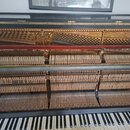 Fotografie zachycuje vnitřní mechanismus a struny pianina s černým vnějším pláštěm. Viditelný je klaviatura, řady kladivek a kovový rám se strunami.…
