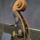 Detail hlavy smyčcového nástroje z dřeva s připevněnou černou ladicí deskou. Na desce jsou dva mosazné ladicí mechanismy s ozubenými koly a kovovými…
