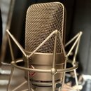 Kondenzátorový mikrofon v béžovém nebo šampaňském provedení s kovovou síťkou. Je umístěn v odpružívácím držáku stejné barvy. Na těle mikrofonu je vid…