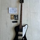 Černá elektrická basová kytara s bílým plechtrzem. Na hlavě hрифu je viditelné logo Epiphone a na plechtrze je narysované křídlo s logem. Vedle nástr…