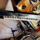 Černý klaviatura s nápisem KOMPLETE KONTROL S88 a logem výrobce. Nástroj má bílé klávesy, ovládací prvky v horní části a je umístěn na podložce. V ok…