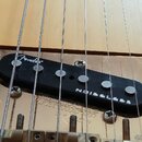 Černý snímač typu single-coil s nápisy Fender a NOISELESS. Snímač je umístěn na zlaté kovové základně, na které je vyryté logo Wilkinson. Povrch sním…