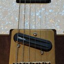 Detail elektrické kytary s hnědým trupem a bílým perleťovým pickguardem. V horní části je černý humbucker, ve spodní části zlatý snímač s černým kryt…