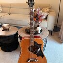 Akustická kytara s přírodním dřevem na lícové desce a červeným povrchem boků. Na hlavě je zlatý nápis Gibson a na hřideli nápis Dove. Kytara má tmavý…