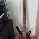 Elektrická basová kytara s černým trupem v přechodovém lakování do červena a hněda. Na hlavě nástroje je bílý nápis „RockBass“ a níže logo „Warwick“.…