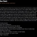 Snímek obsahuje textový popis kytarového komba s názvem Silver Sonic. Text uvádí technické specifikace, jako je výkon 20 wattů, architektura Classic…