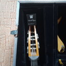 Fotografie zachicuje hlavu basové kytary v černém kufru. Na černé krytce hlavy je bílé písmeno W a nápis Triumph Bass, pod kterým je menší text Desig…