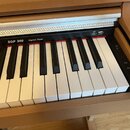 Digitální piano v dřevěném korpusu s bílými a černými klávesami. Na černém ovládacím panelu je nápis SDP 200 Digital Piano, USB port a tlačítka s pop…
