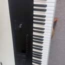 Černý MIDI kontrolér s klaviaturní klávesnicí. Na spodní hraně je bílý nápis ECOCONTROL S61 MKII. Přístroj obsahuje několik ovládacích tlačítek, otoč…