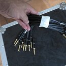 Svizet je svazek černých audio kabelů s pozlacenými 6,3mm jack konektory. Kabely jsou v hliníkovém přepravním kufru s černým vnitřkem. Na svazku je p…