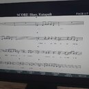 Fotografie zachycuje obrazovku monitoru, na které je zobrazen digitální notový zápis. V horní části jsou nápisy TEMPO q = 119, SCORE: Blues, Katapult…
