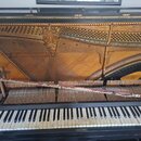 Otevřené černé piano s viditelným vnitřkem, strunami a klávesnicí. Na kovové rameni je vyznačen nápis "K. K.". Povrch klávesnicí vykazuje známky opot…