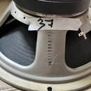 Fotografie zachycuje zadní část reproduktoru s kovovým rámem v béžové barvě. Na jednom z ramen rámu je svisle vyražen nápis 60DJT3903/03. Na horní čá…