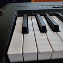 Detailní pohled na klávesnici elektronického nástroje s černým plastovým šasi. Jsou vidět bílé a černé klávesy v dobrém stavu. Nad klávesami jsou bíl…