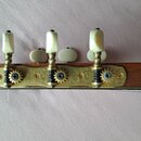 Detail zadní strany hlavy kytary z tmavého dřeva. Jsou zde vidět tři ladicí mechanismy se zlatým kovem, ozdobným rytím na základní desce a bílými kno…
