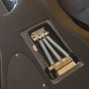 Fotografie zachycuje zadní část černé elektrické kytary. Je vidět vyřez s mechanismem tremola, který obsahuje čtyři pružiny a kovové kotvy. Vedle pru…