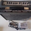 Šedý kytarový kombo zesilovač s nápisem SILVERLINE STANDARD a označením 20W 1x10" COMBO. Na horním ovládacím panelu jsou knofíky a nápisy GAIN, VOLUM…