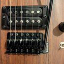 Detail elektrické kytary s hnědým dřevěným povrchem. Viditelný je černý humbucker snímač a černý kobylník s nápisem BABICZ. Na povrchu jsou viditelné…