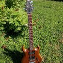 Hnědá elektrická kytara s tmavým hnedým hmatníkem. Na hlavě je bílé logo „Peavey“. Tělo má dva humbuckery, ovládací knoflíky a stрій s mostkem. Nástr…